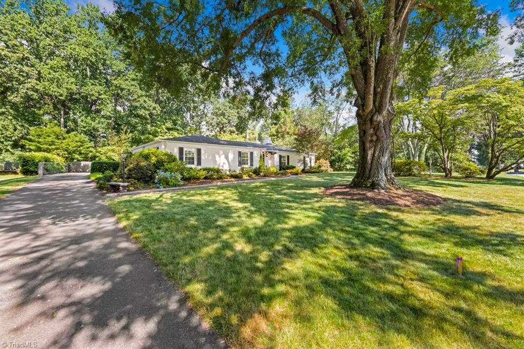 800 Archer Road Winston-Salem, NC 27106 - Photo 32 of 32 Beautiful yard with mature trees.