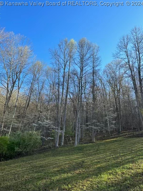 2159 Garrett Fork Road Chapmanville, WV 25508 - Photo 20 of 48 Gallery Image 20
