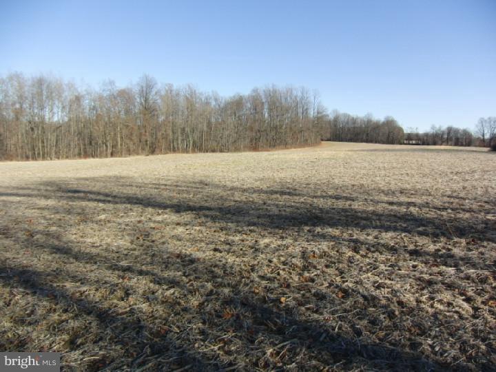 5609 Walker Road Macungie, PA 18062 - Photo 5 of 7 Gallery Image 5