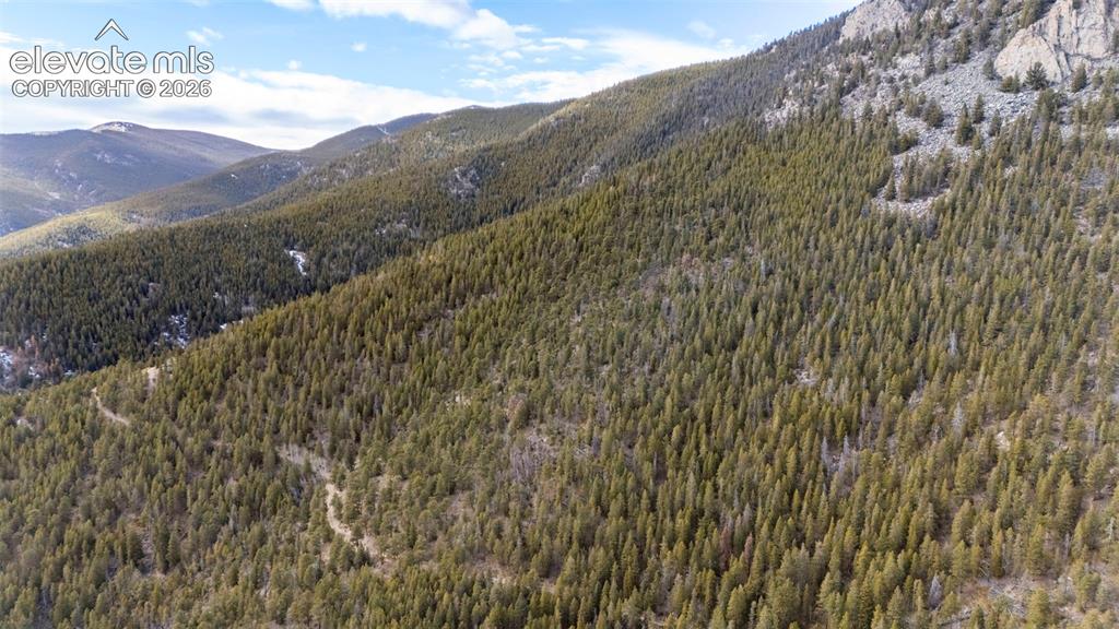 Alps Mountain Road Idaho Springs, CO 80452 - Photo 3 of 7