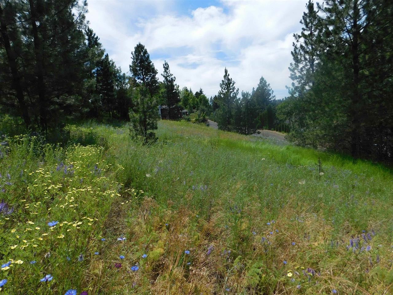 420 Northeast Stringham Road, Unit LOT 1 Rockford, WA 99030 - Photo 2 of 7 Gallery Image 2