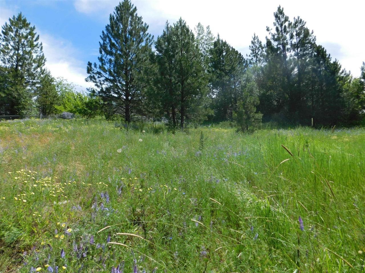 420 Northeast Stringham Road, Unit LOT 1 Rockford, WA 99030 - Photo 3 of 7 Gallery Image 3