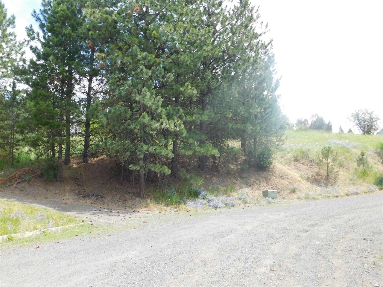 420 Northeast Stringham Road, Unit LOT 1 Rockford, WA 99030 - Photo 6 of 7 Gallery Image 6