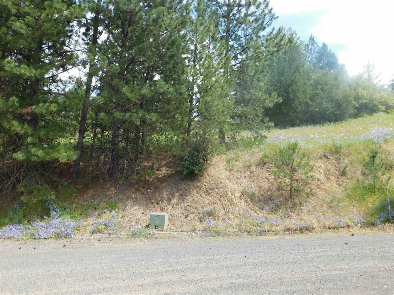420 Northeast Stringham Road, Unit LOT 1 Rockford, WA 99030 - Photo 7 of 7 Gallery Image 7