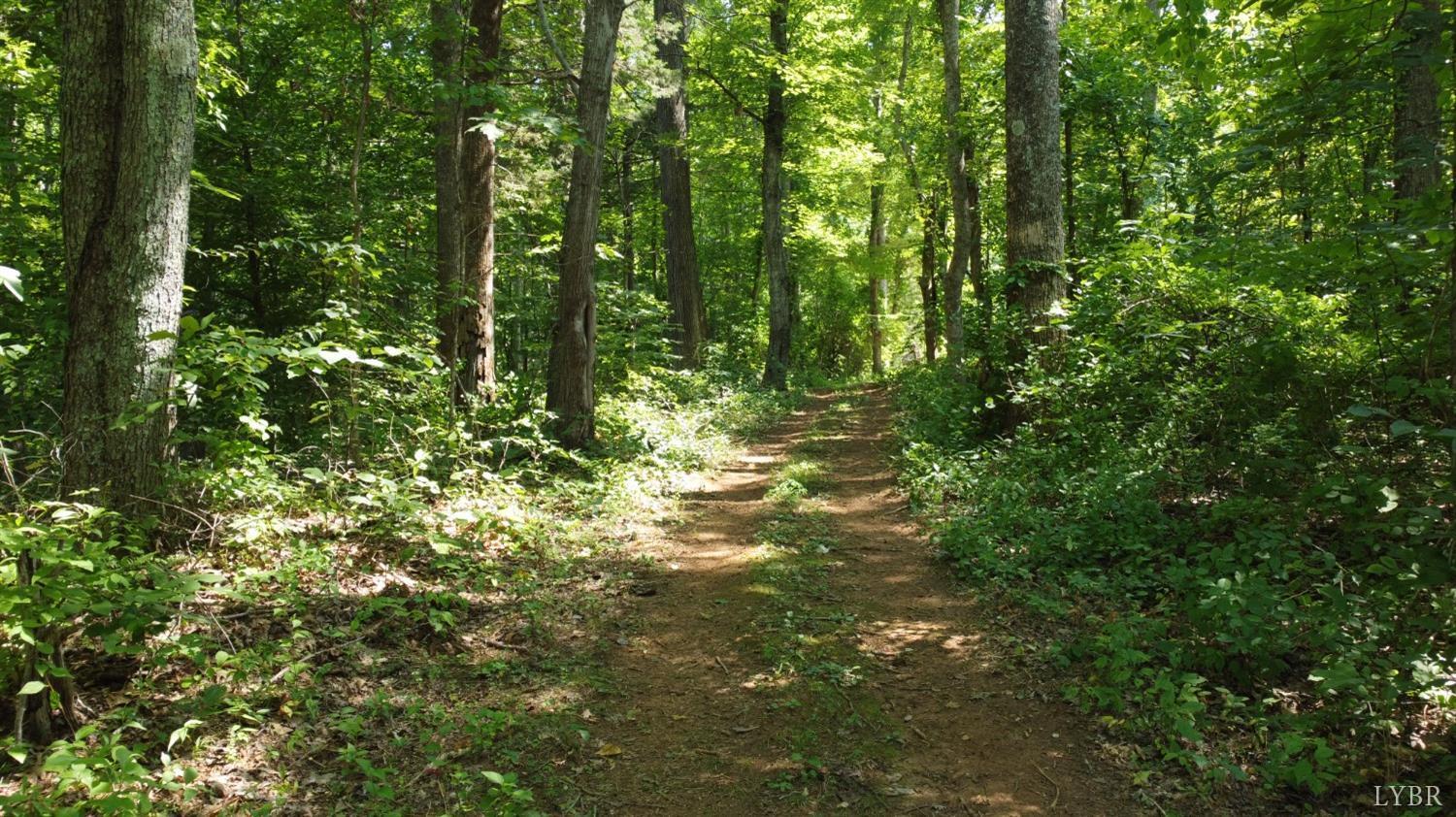 181 Mobley Mountain Road Amherst, VA 24521 - Photo 91 of 98