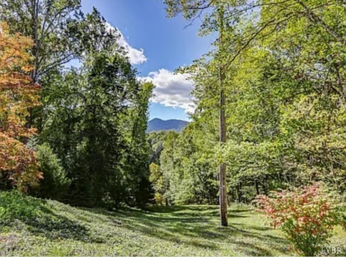 181 Mobley Mountain Road Amherst, VA 24521 - Photo 92 of 98