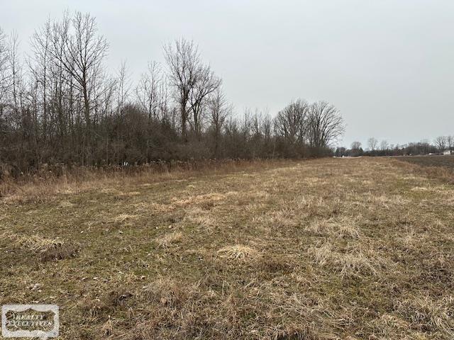 72300 Romeo Plank Road Armada, MI 48005 - Photo 5 of 6