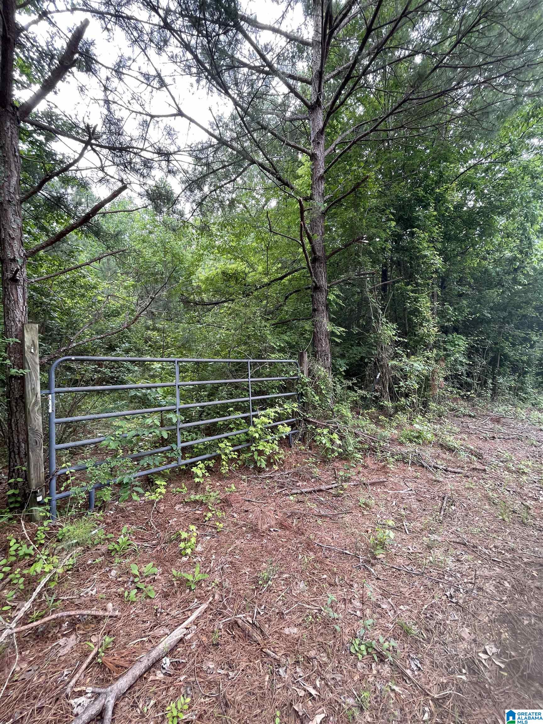 31-acres County Road 36 Heflin, AL 36264 - Photo 6 of 6