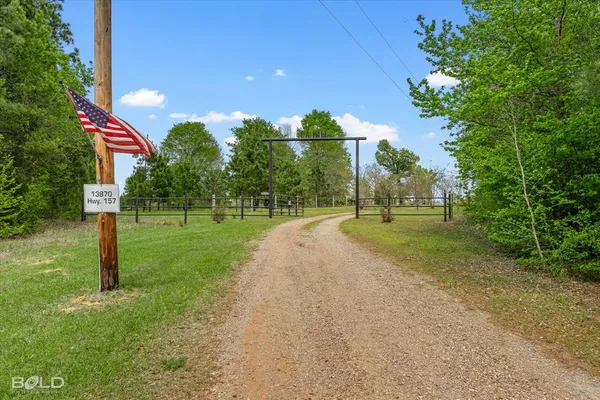 a view of a park with large trees