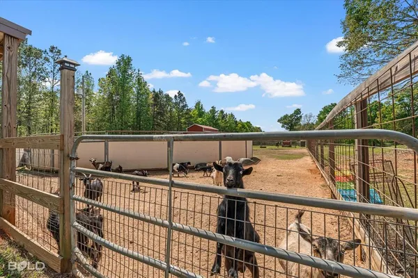 a view of a backyard with a sitting area