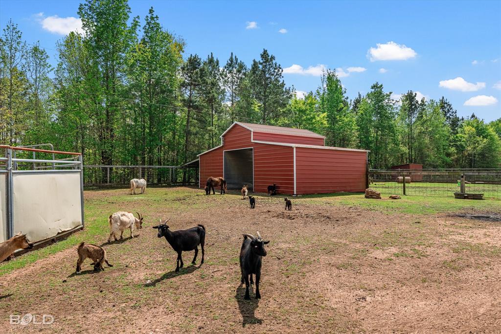 13870 Highway 157 Haughton, LA 71037 - Photo 36 of 40 a view of a backyard with a sitting area