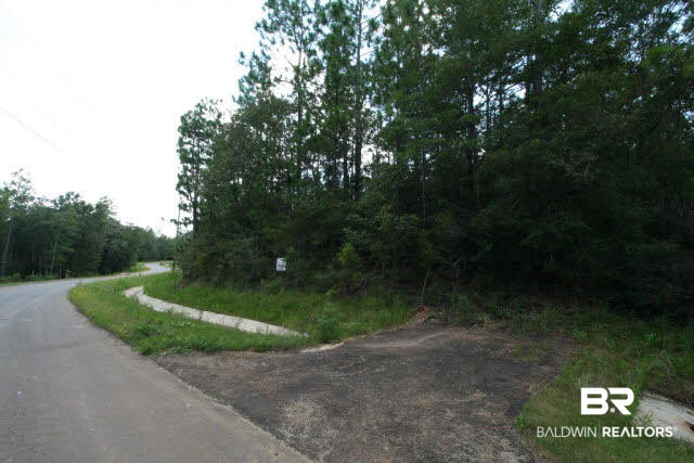 0 Timber Ridge Drive Chunchula, AL 36521 - Photo 4 of 5