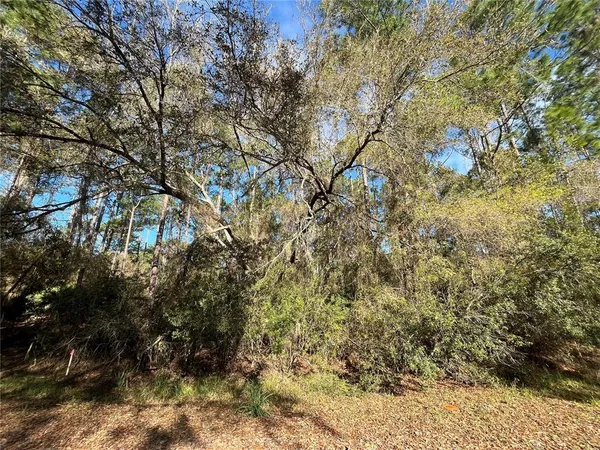 $11,100 | 104 5th Street, Georgetown, FL 32139