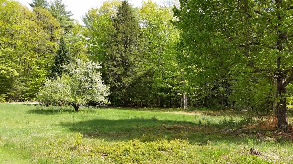5 Rocky Point Road Harrison, ME 04040 - Photo 1 of 2 Photo