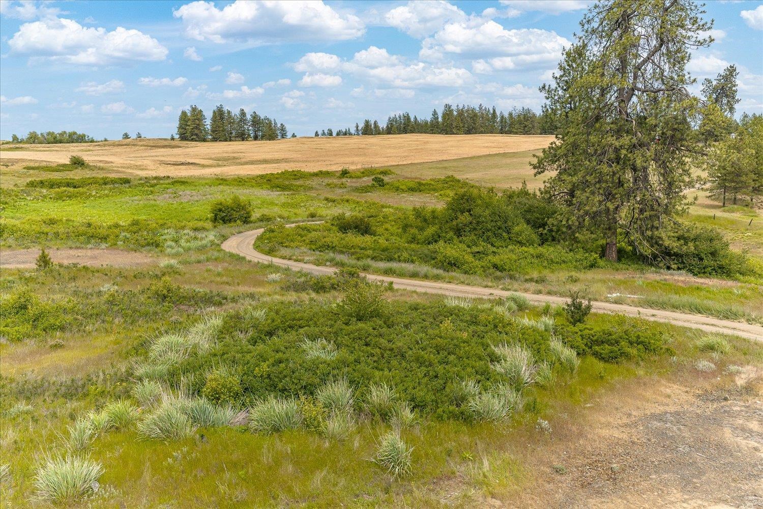 0 North Brooks Road Medical Lake, WA 99022 - Photo 19 of 24
