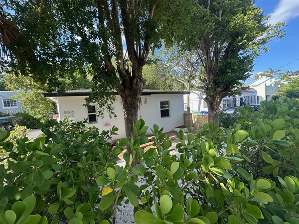 a picture of plants