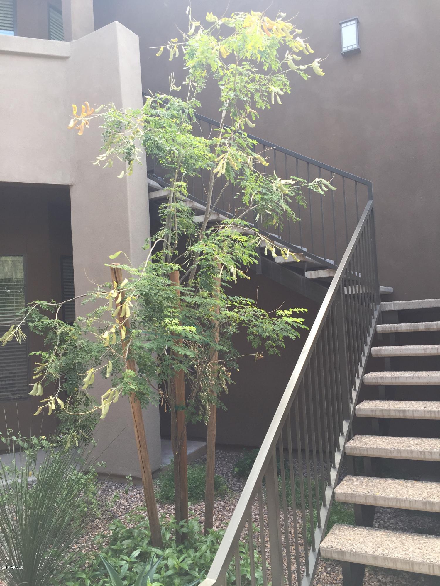 7027 North Scottsdale Road, Unit 254 Paradise Valley, AZ 85253 - Photo 14 of 20 029
