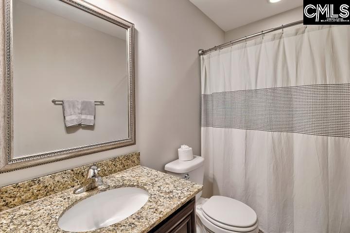 828 Red Solstice Court Lexington, SC 29073 - Photo 12 of 16