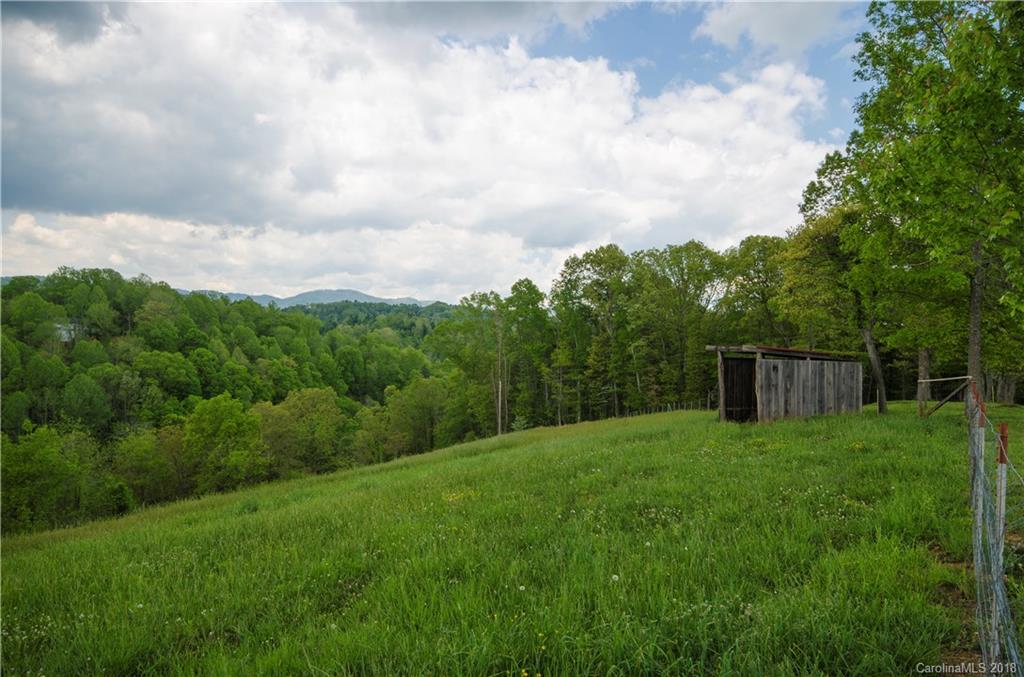 313 Laurel Branch Road Marshall, NC 28753 - Photo 35 of 36 Gallery Image 35