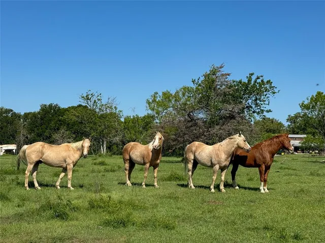 a view of a yard with a table and chairs