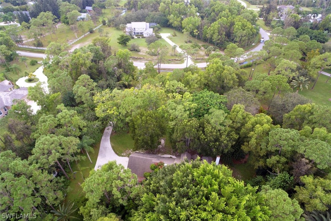 15180 Briar Ridge Circle Fort Myers, FL 33912 - Photo 33 of 35 a backyard of a house with lots of green space and garden in all around