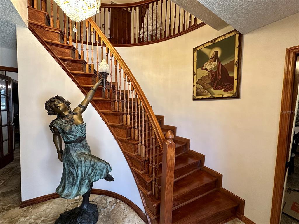 8834 Whispering Oaks Trail New Port Richey, FL 34654 - Photo 6 of 37