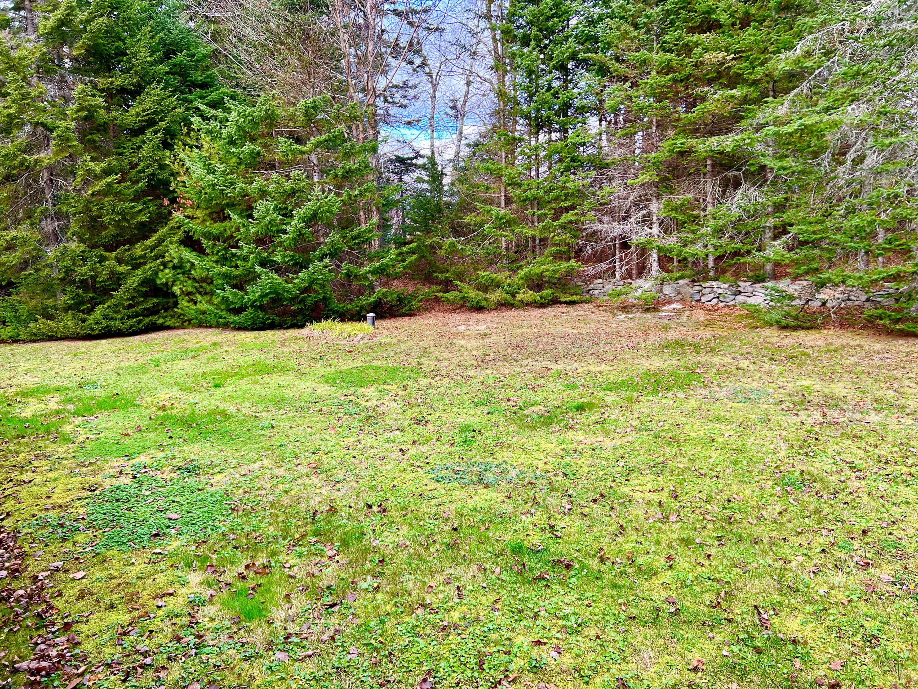 11 Stoney Ridge Road Ellsworth, ME 04605 - Photo 42 of 46 Back yard