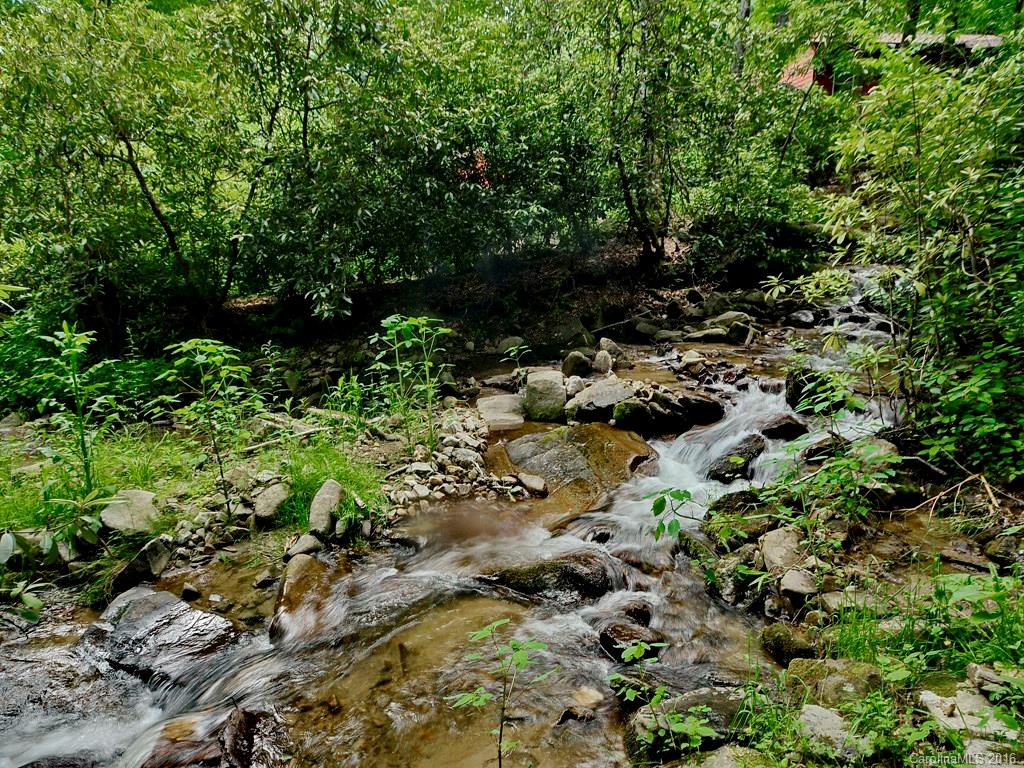 271 Fie Top Road Maggie Valley, NC 28751 - Photo 22 of 24 a view of forest