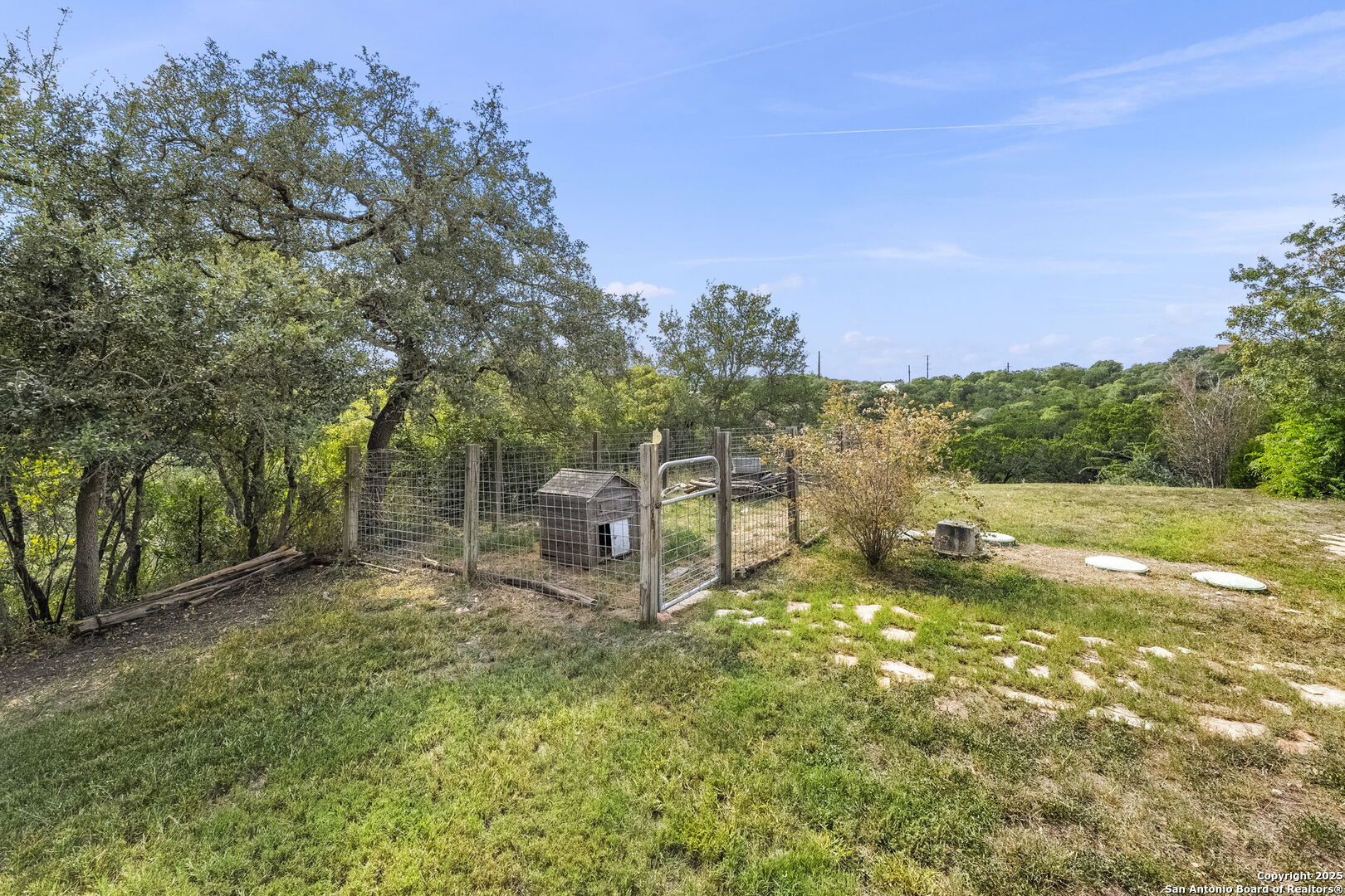 26938 Karsch Road Boerne, TX 78006 - Photo 49 of 60 a garden with trees in front of it