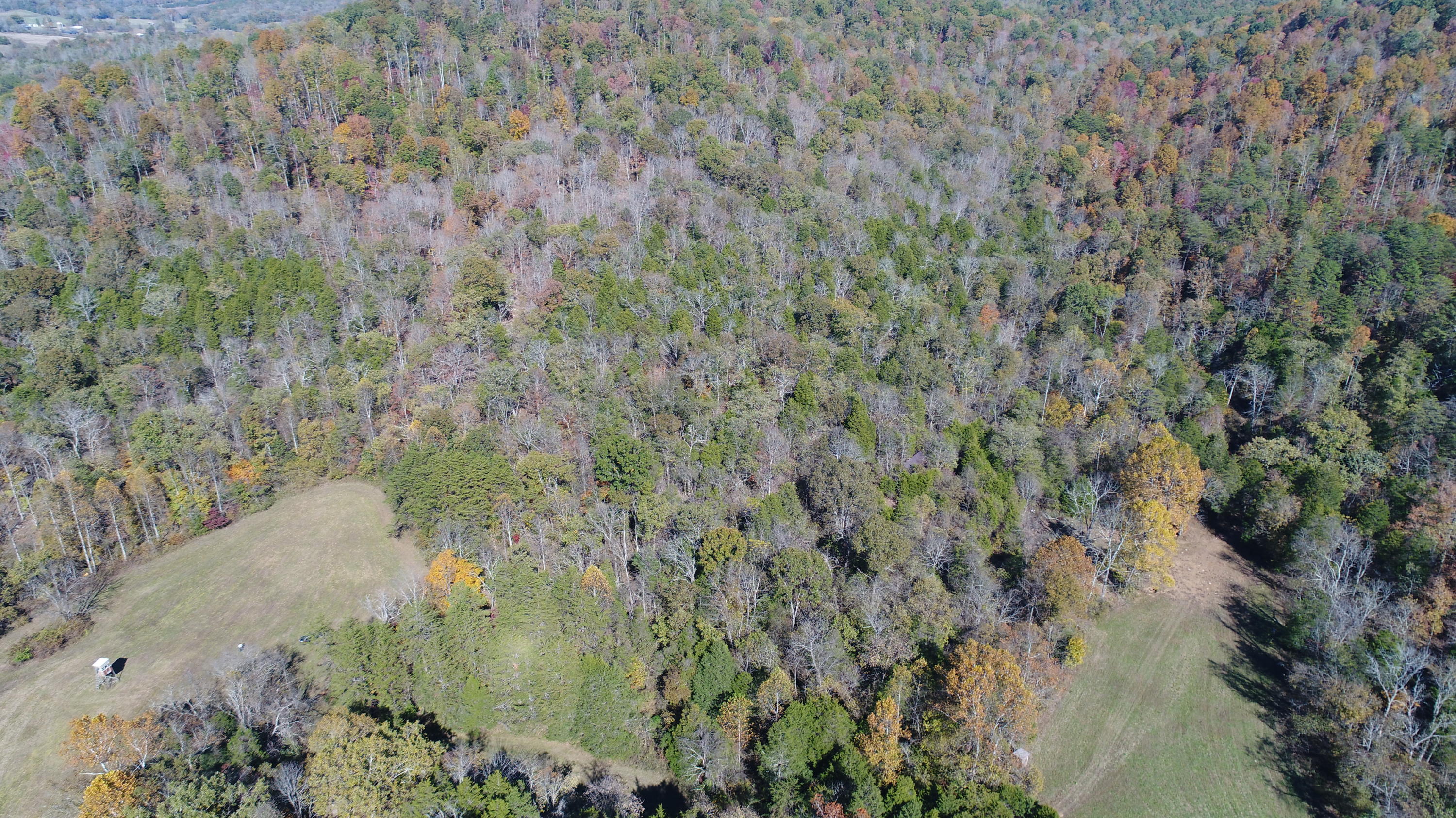 501 Big Sink Road Somerset, KY 42503 - Photo 23 of 38 DJI_0946