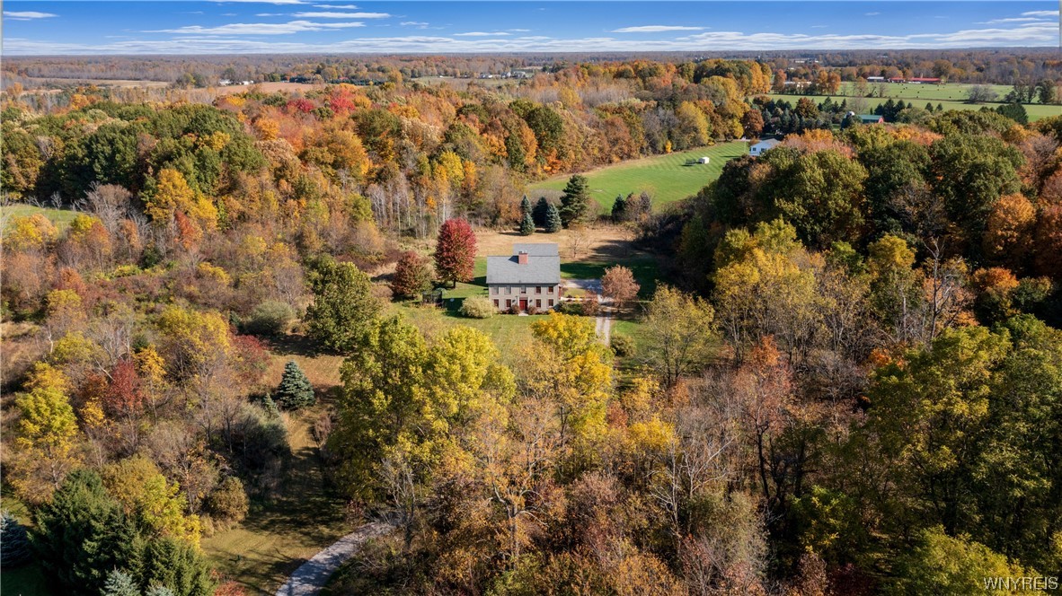 10858 Keller Road Clarence, NY 14031 - Photo 45 of 48