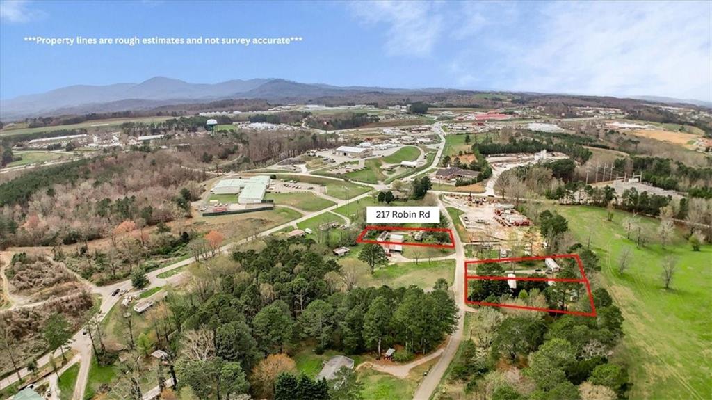 217 Robin Road Jasper, GA 30143 - Photo 6 of 41