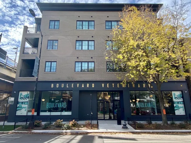 $2,900 | 4646 North Damen Avenue, Unit 302, Chicago, IL 60625