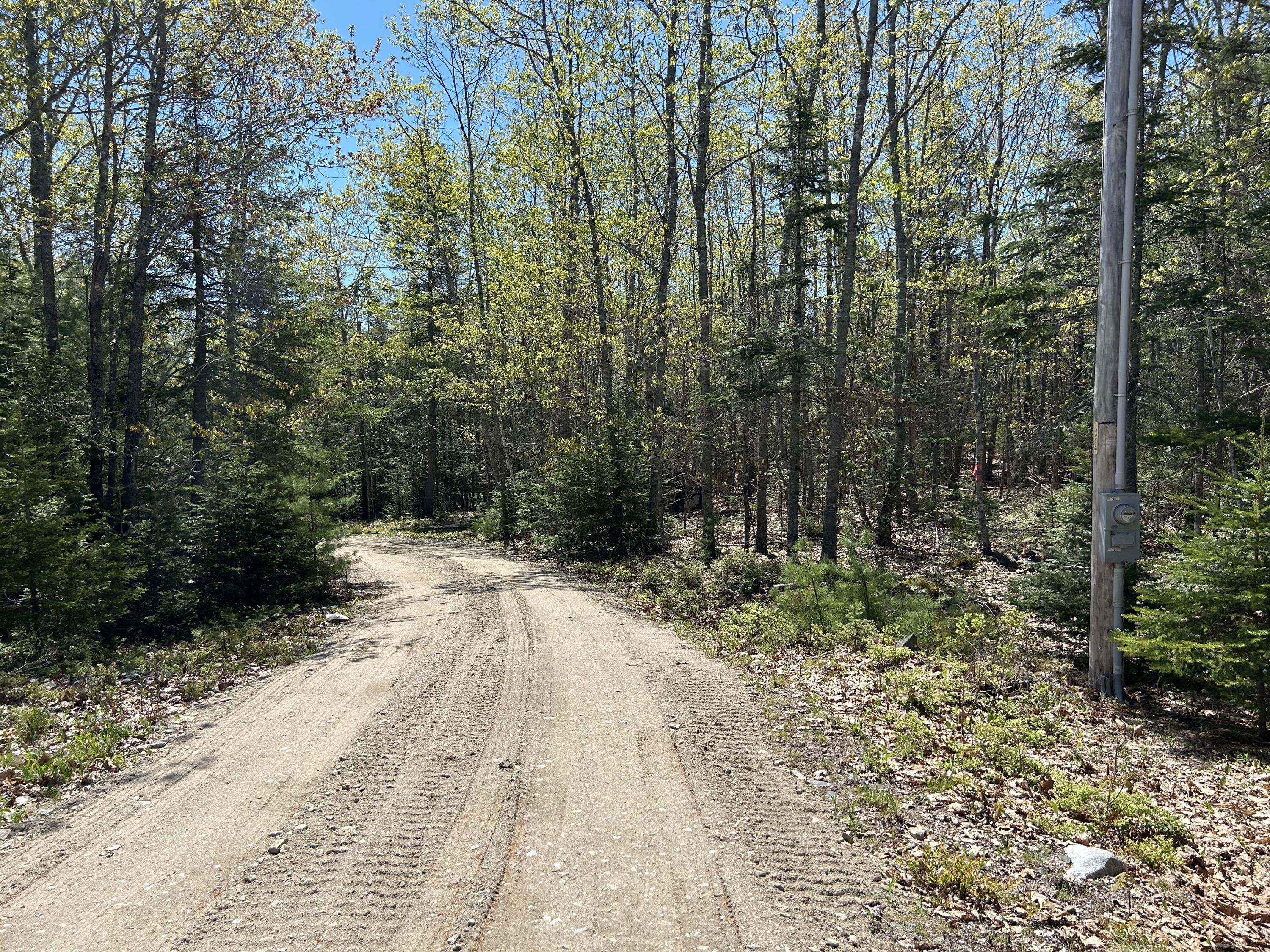 3 Cemetery Road Gouldsboro, ME 04607 - Photo 6 of 21 Top of driveway and power pole