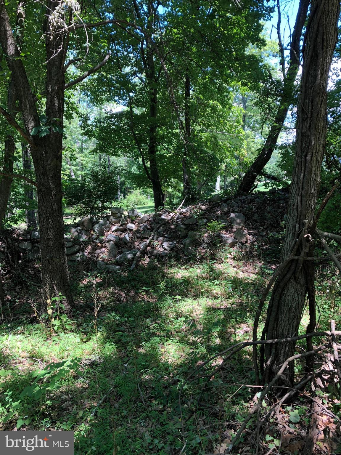 13537 Edgemont Road Smithsburg, MD 21783 - Photo 4 of 8 Stone wall on lot line