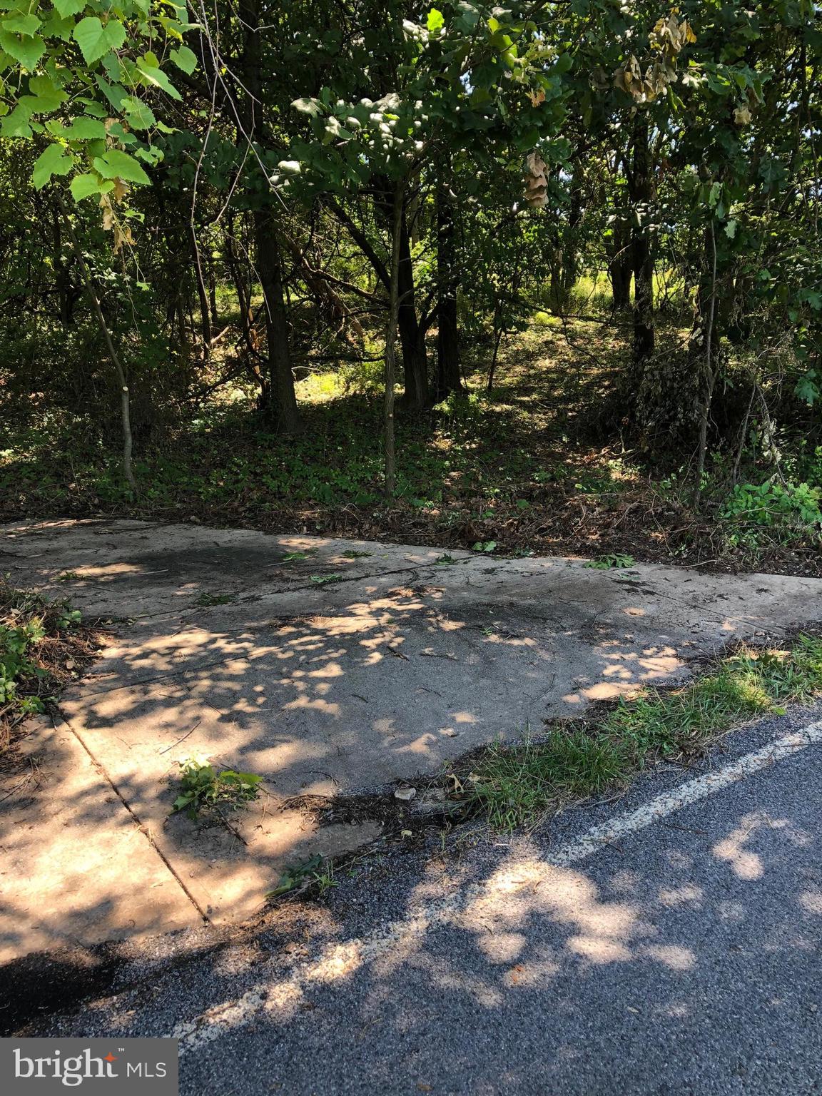 13537 Edgemont Road Smithsburg, MD 21783 - Photo 8 of 8 Concrete driveway apron off Edgemont Road