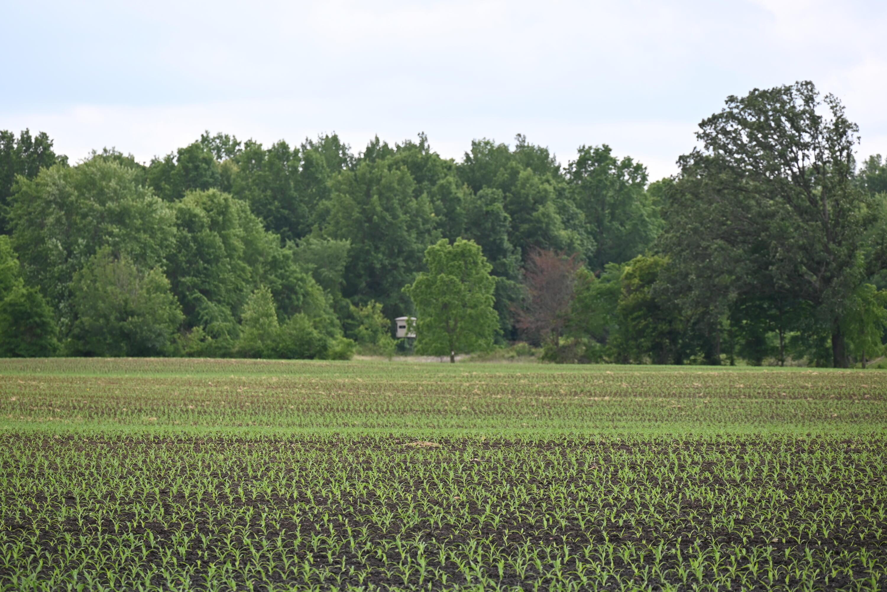 0 Fairchild Road Cardington, OH 43315 - Photo 5 of 16 Prime Farmland