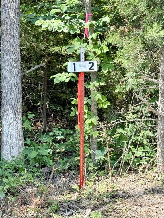 Tbd1 East 1550 Road Jerico Springs, MO 64756 - Photo 22 of 23