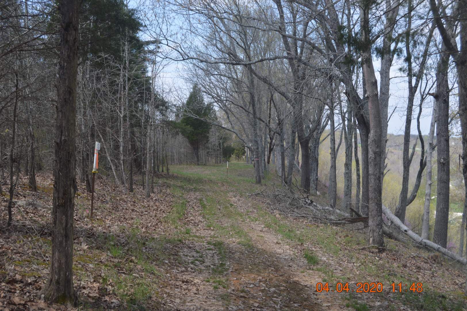 Lot 3 Dexter Magnet Road Derby, IN 47525 - Photo 4 of 4 Gallery Image 4