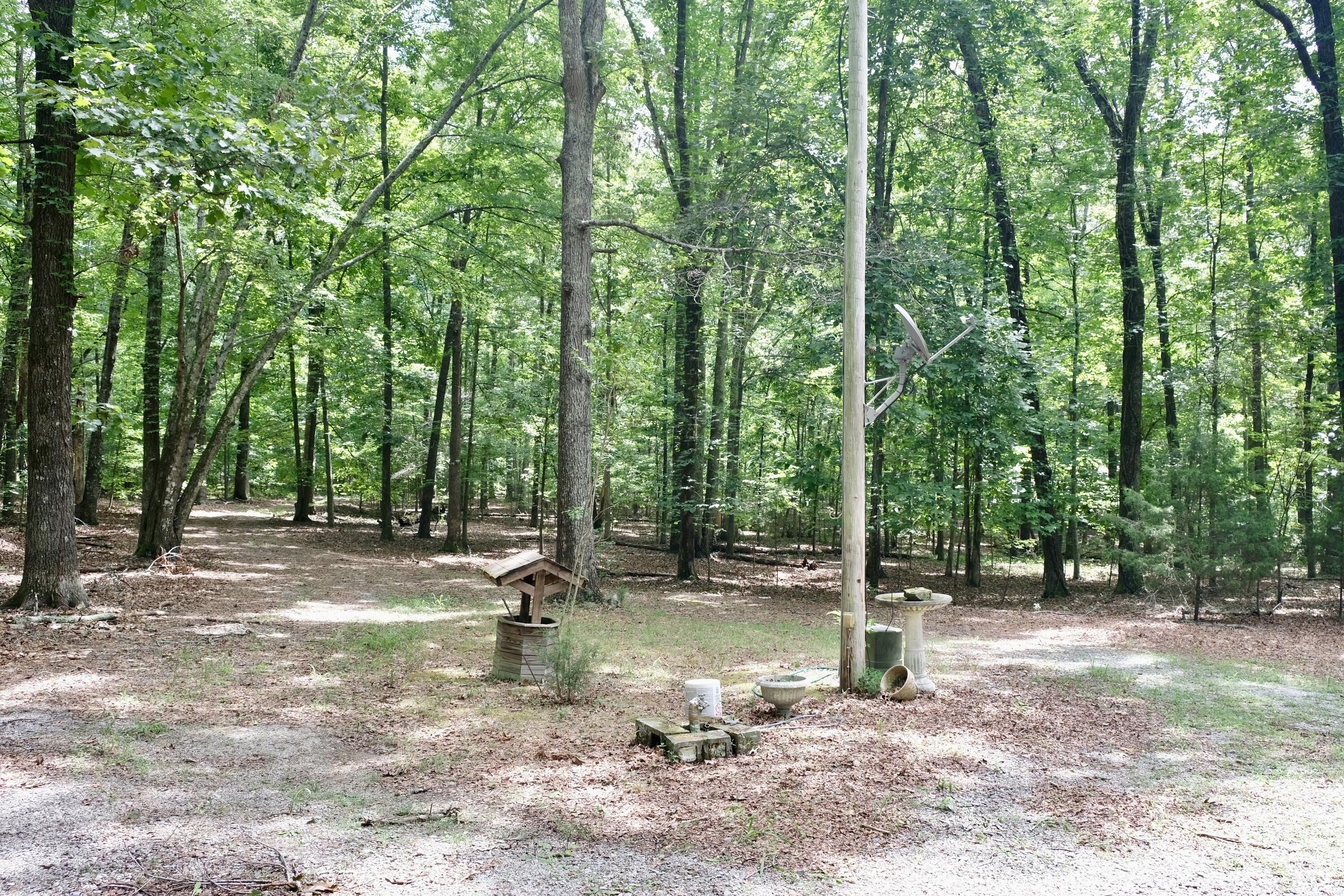 756 Ewing Cemetery Road Spring City, TN 37381 - Photo 5 of 16 DSCF5071