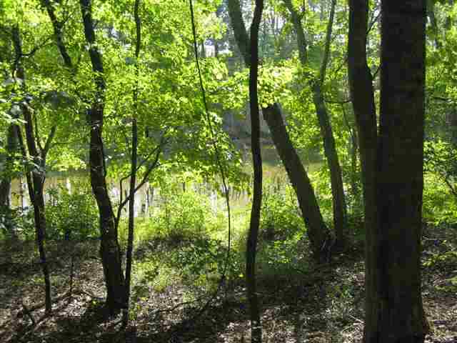 160-acreage Agnew Road Anderson, SC 29626 - Photo 2 of 17 Gallery Image 2