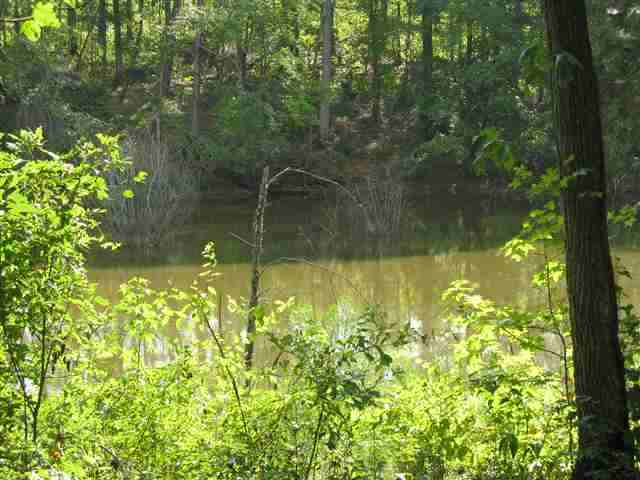 160-acreage Agnew Road Anderson, SC 29626 - Photo 3 of 17 Gallery Image 3