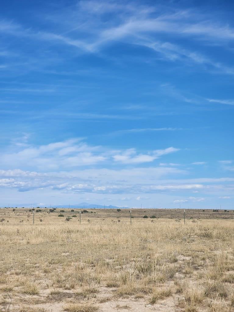 8243 Schmitt Road Rye, CO 81069 - Photo 28 of 42