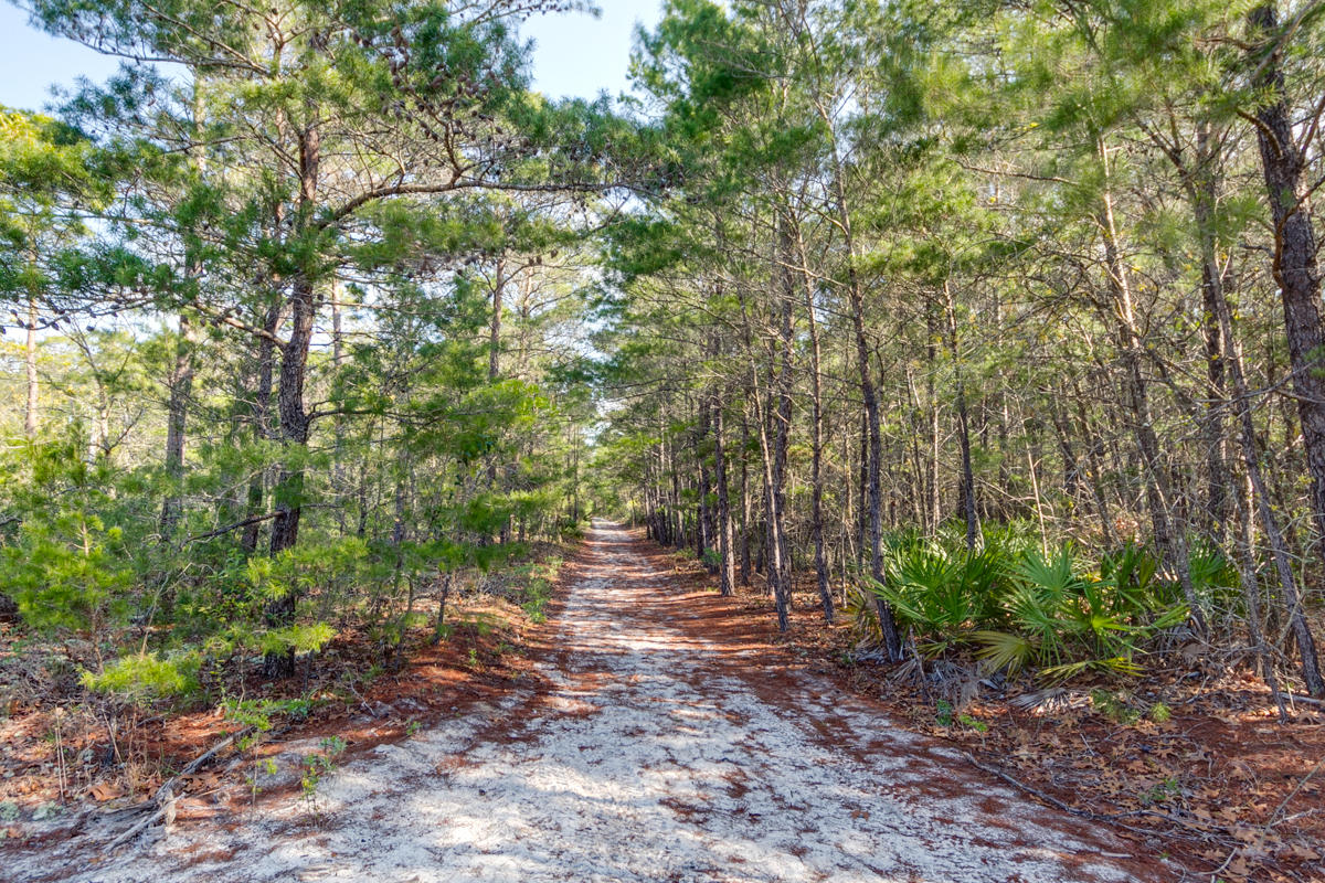 27 Nickajack North Santa Rosa Beach, FL 32459 - Photo 39 of 49 Gallery Image 39