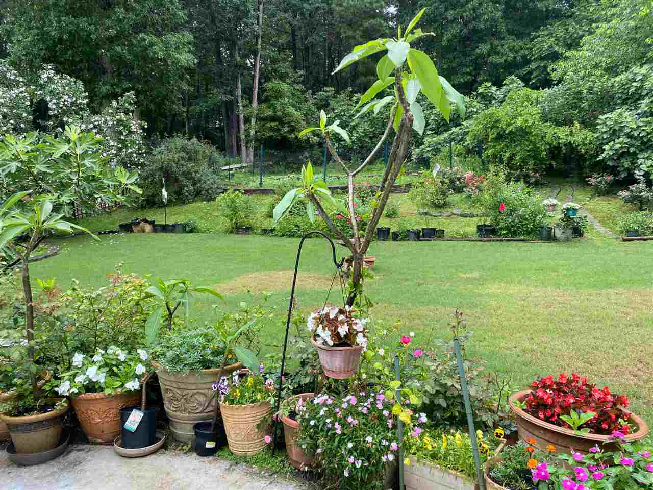 3904 Hemsbury Way Raleigh, NC 27612 - Photo 19 of 20 Photo 19