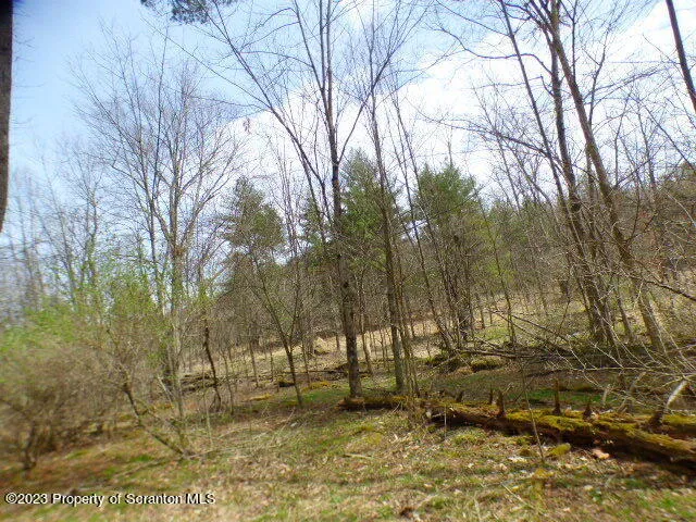 a view of outdoor space