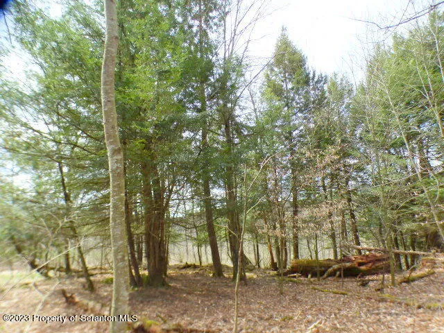a view of a swimming pool with a yard