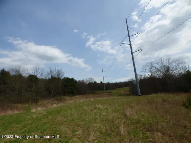 a view of a field with a tree in the background