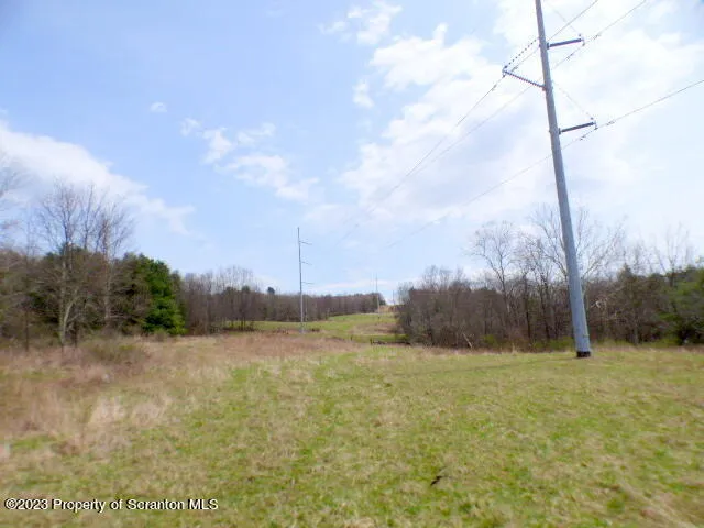 a view of backyard of the house