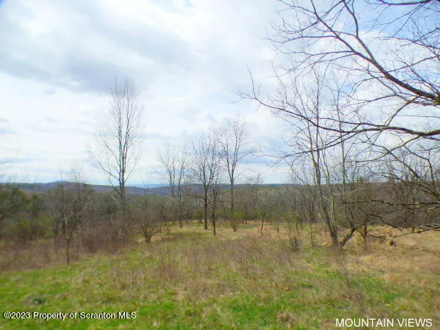 a view of an outdoor space and trees